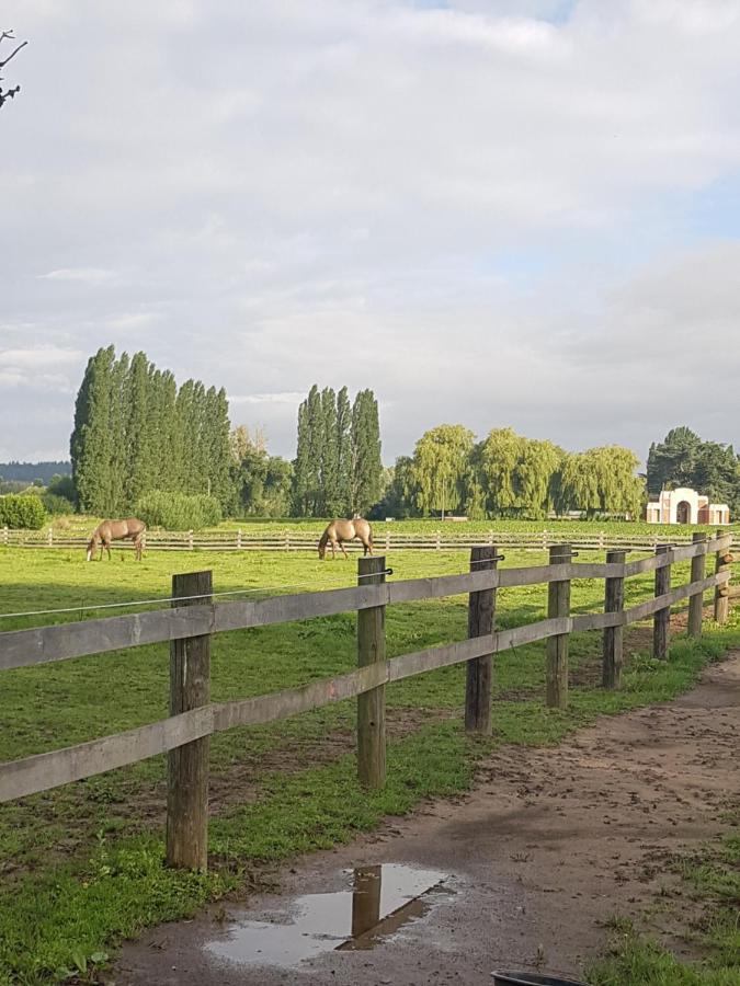 Ter Winterbeke Op Een Steenworp Van Poperinge Villa Exterior photo