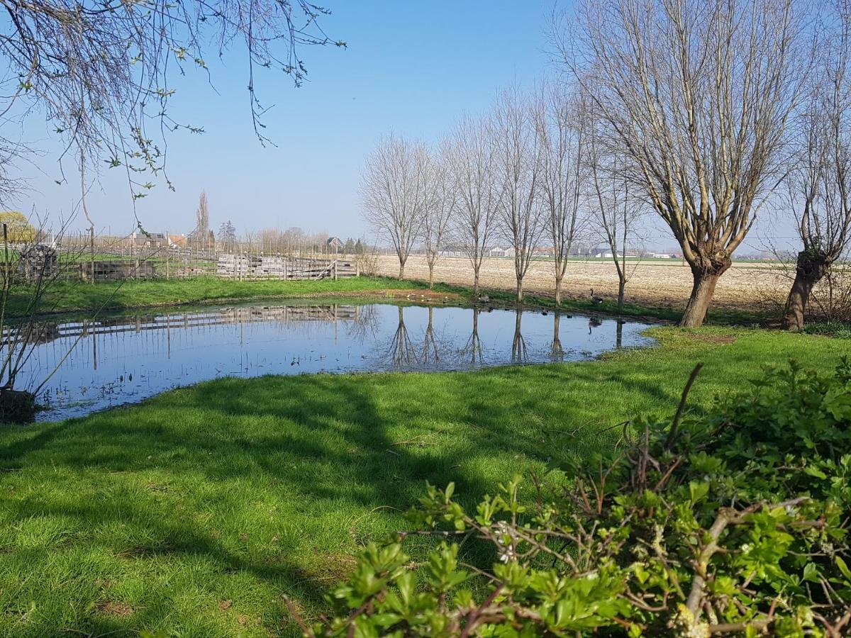 Ter Winterbeke Op Een Steenworp Van Poperinge Villa Exterior photo