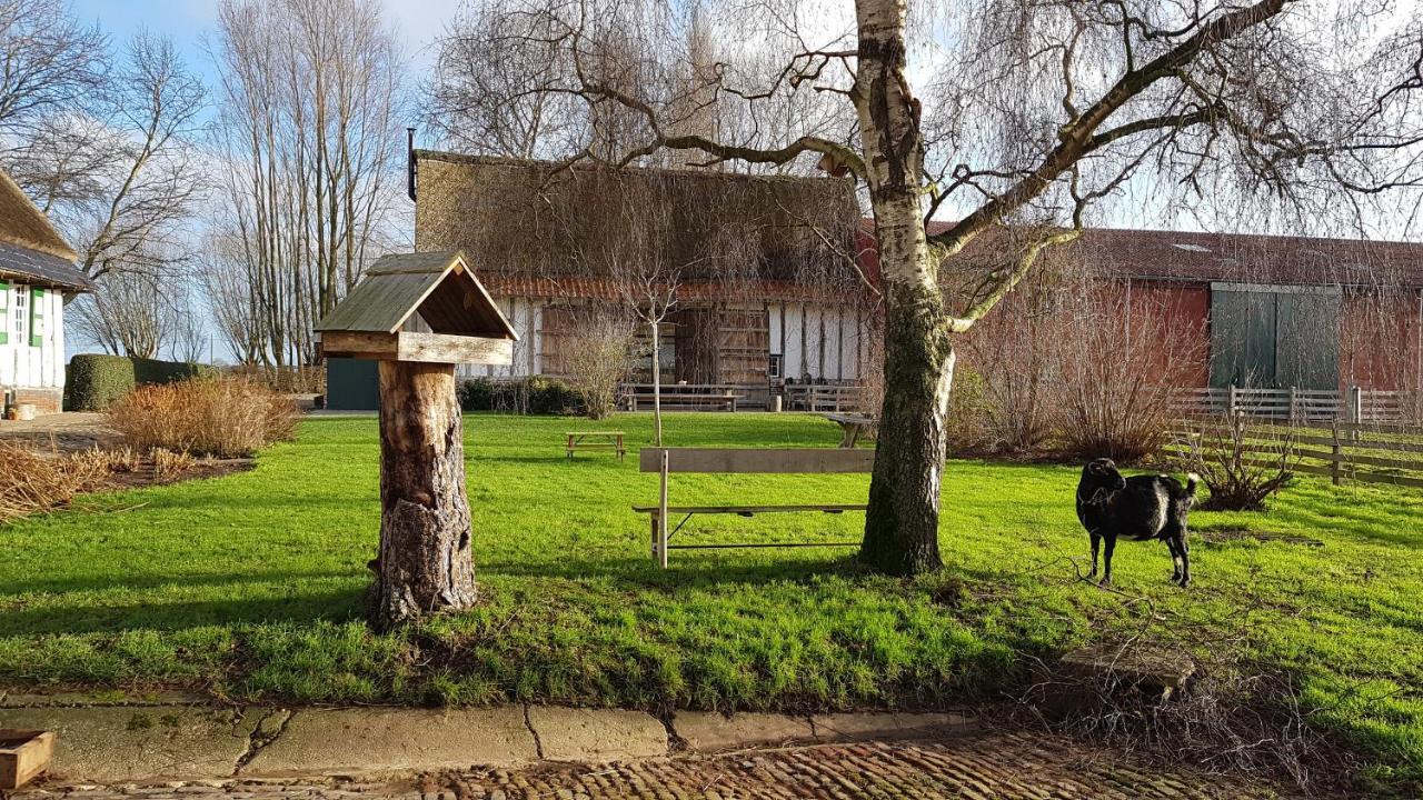 Ter Winterbeke Op Een Steenworp Van Poperinge Villa Exterior photo